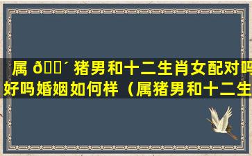 属 🌴 猪男和十二生肖女配对吗好吗婚姻如何样（属猪男和十二生肖女配对吗好吗婚姻如何样呢）